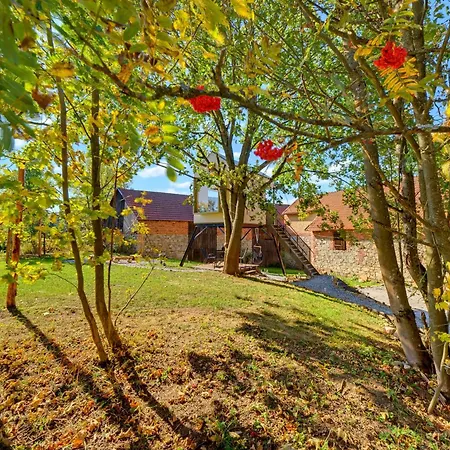 Posed Krason - Zazitkove Sledovani Hvezd Luxury tent Pelhrimov